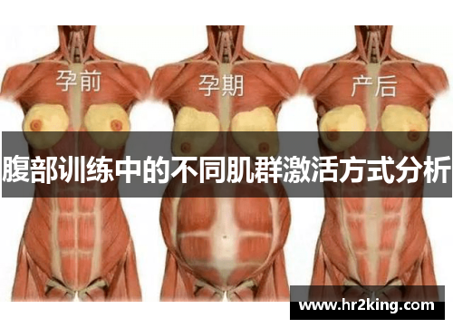 腹部训练中的不同肌群激活方式分析